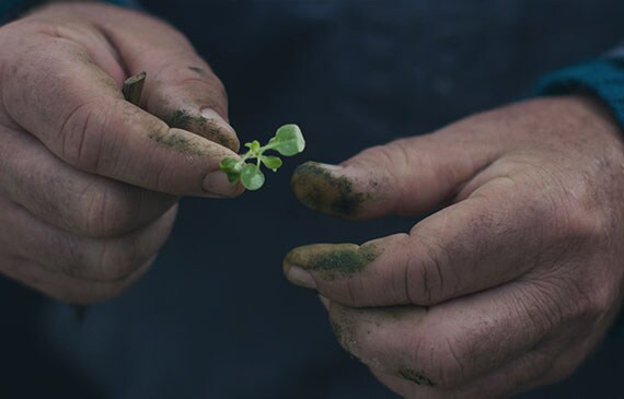 sponsorship-partnership