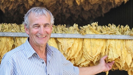 This is how we do it: The Swiss tobacco farm opening its barn doors to the world