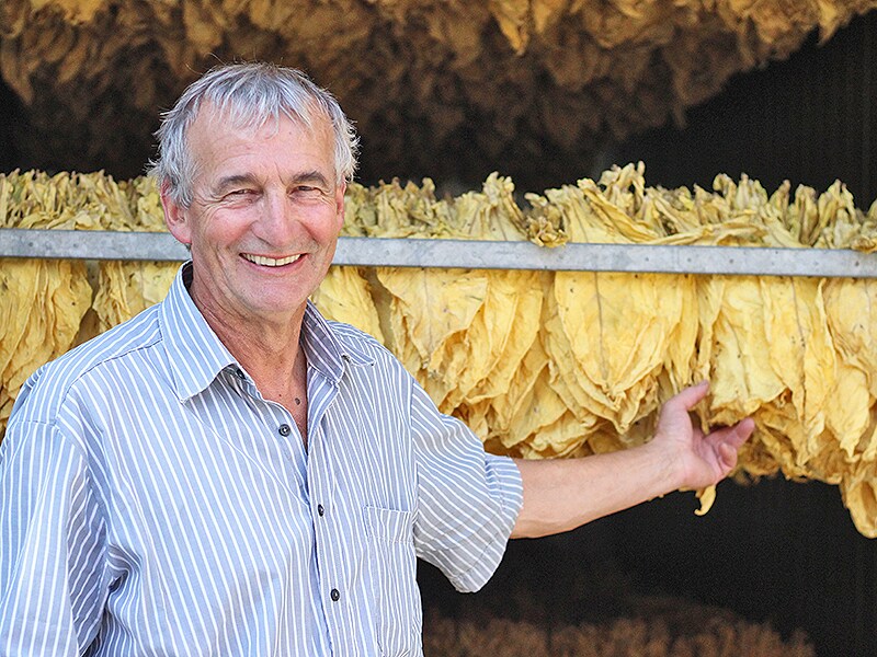 swiss-farmer-with-drying-leaves_article-crop
