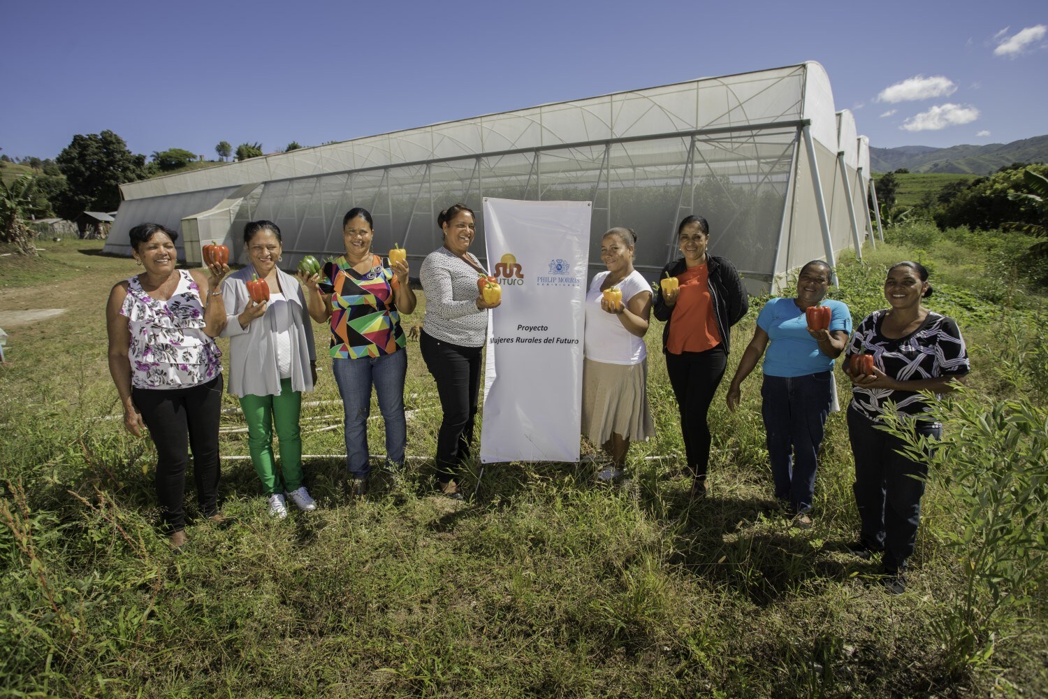 Fundacion Sur Futuro