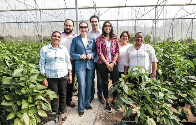 A group of people smiling in a greenhouse built by the Rural Women of the Future program, supported by Philip Morris Dominicana.