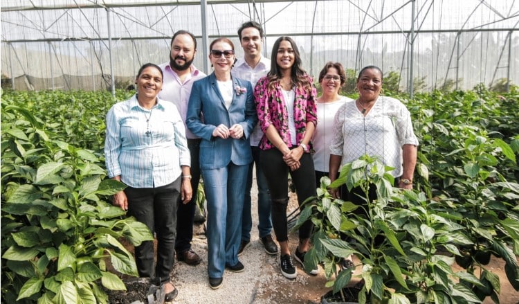 Responsabilidad Social thumbnail