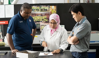 Male and female colleagues in factory