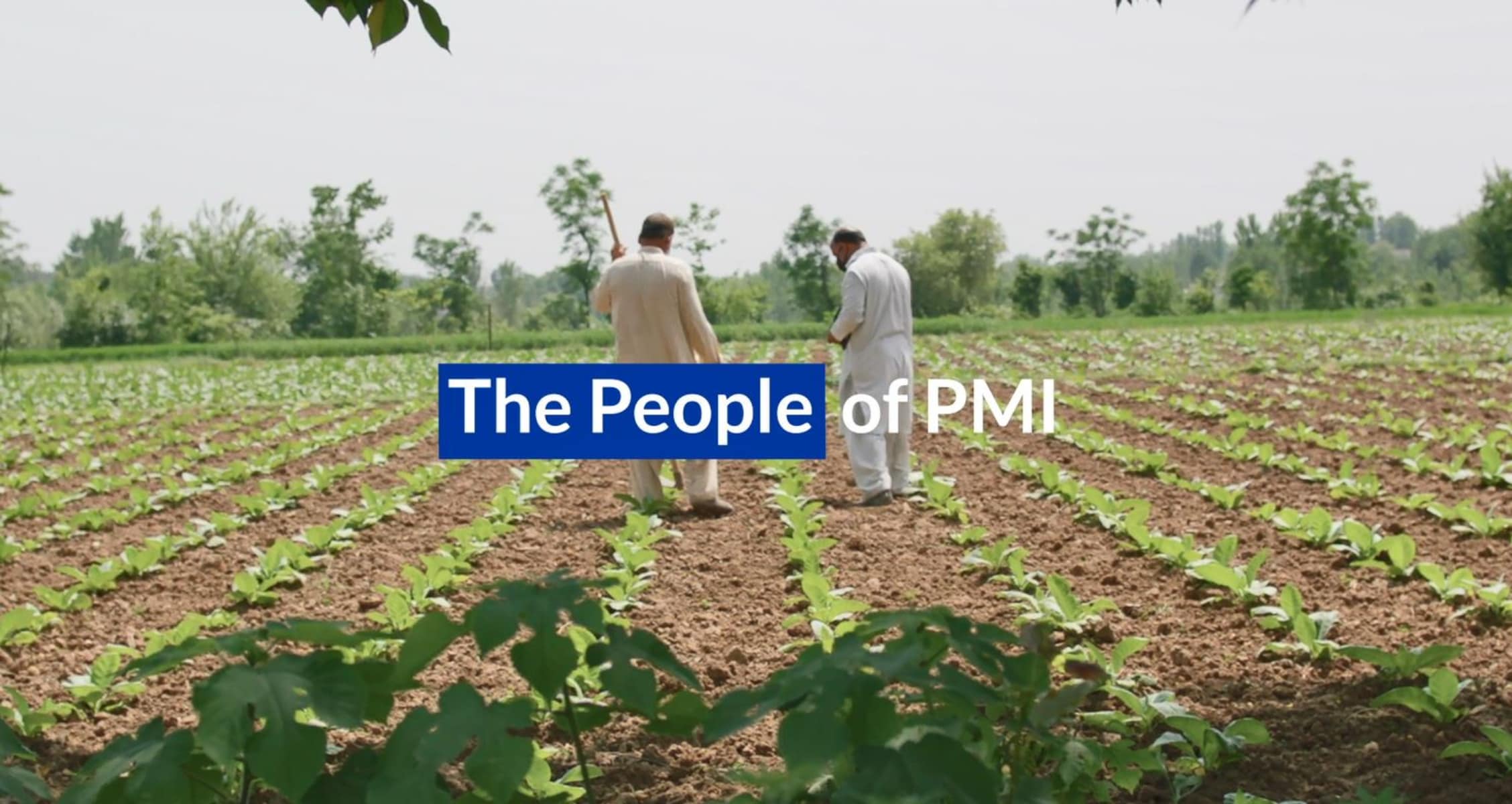 PMI Integrated Report Case Study Pakistan