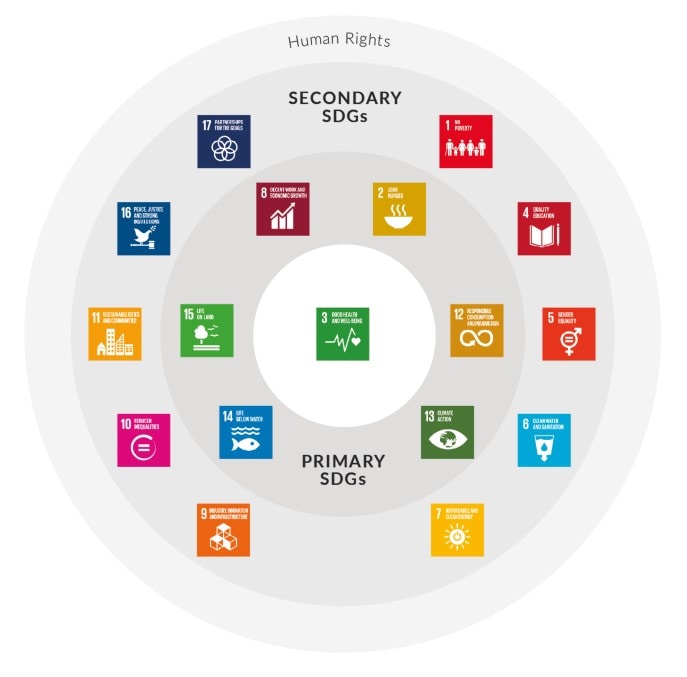 PMI SDGs Circle infographic