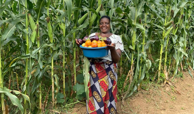 Farm worker in Malawi