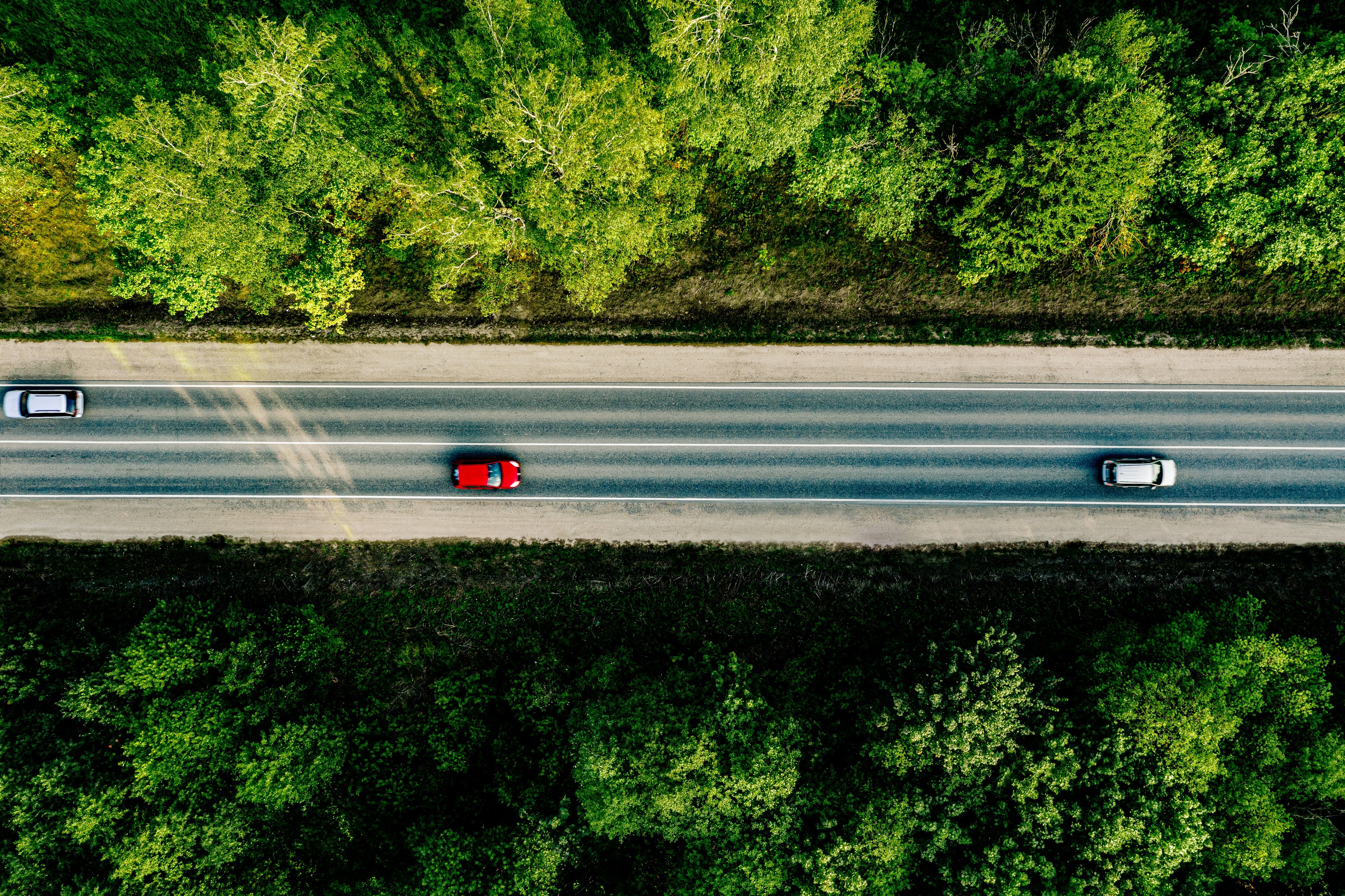 aerial-view-of-cars-driving-through-the-forest-on-XKMJATL