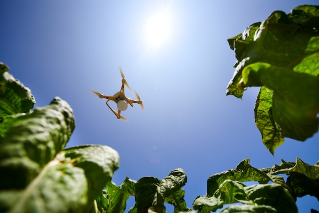 agricoltura digitale, futuro agricoltura in italia, agricoltura 4.0 italia