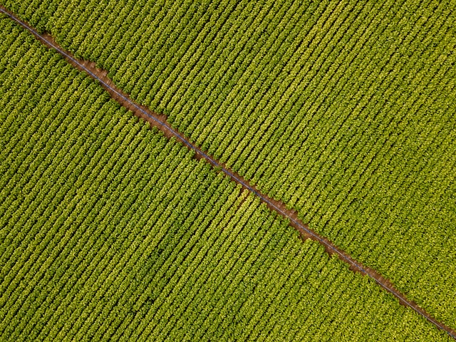 DJI_0051-28