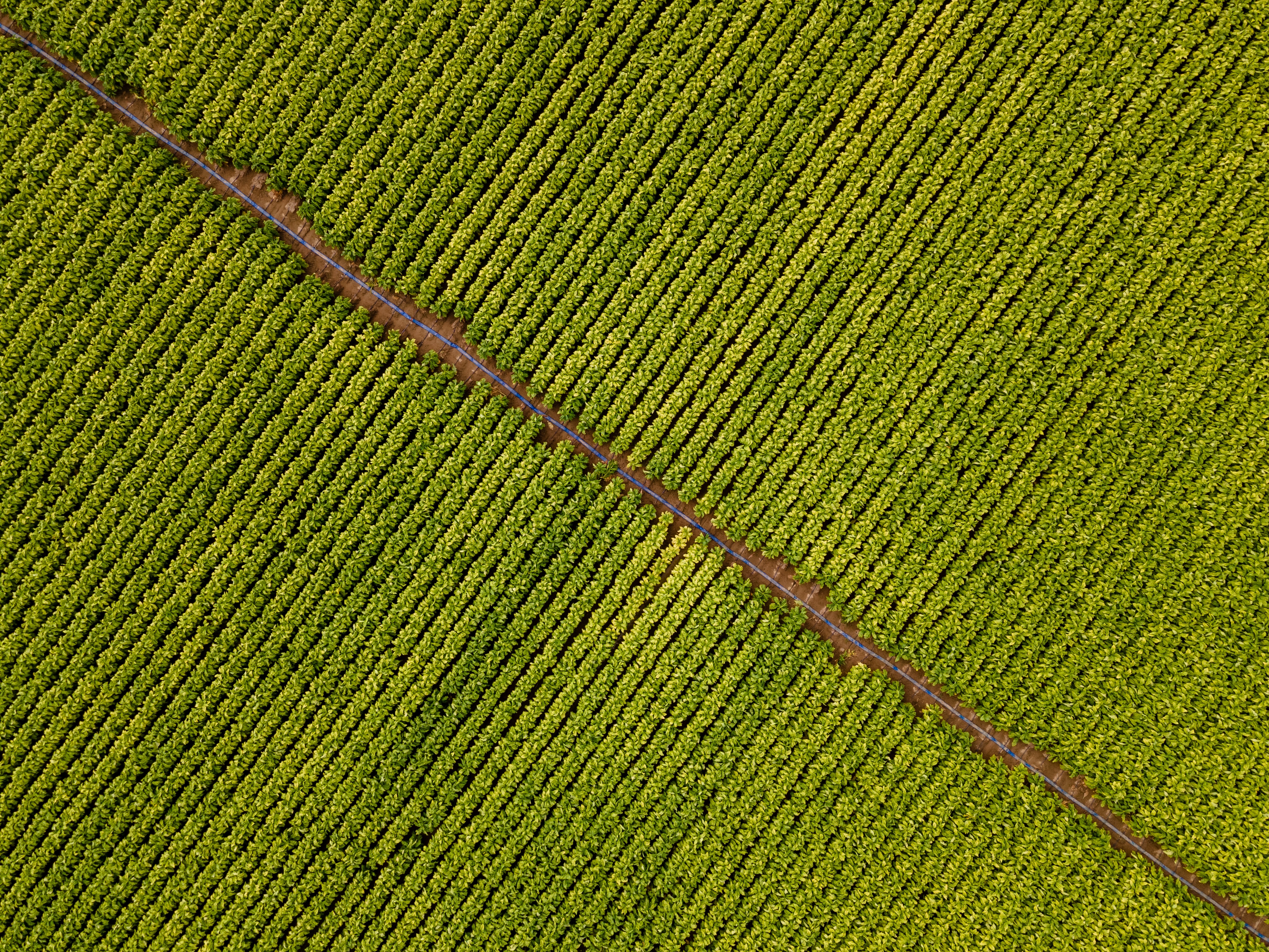 DJI_0051-28