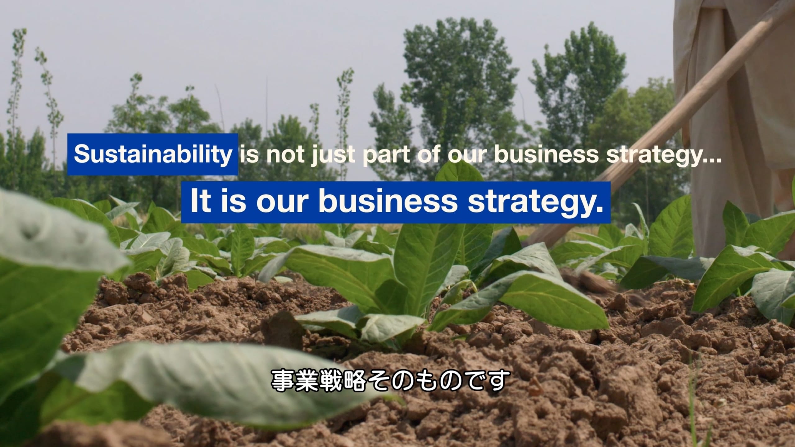 cover-pmj-sustainability-initiatives