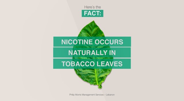 nicotine thumbnail