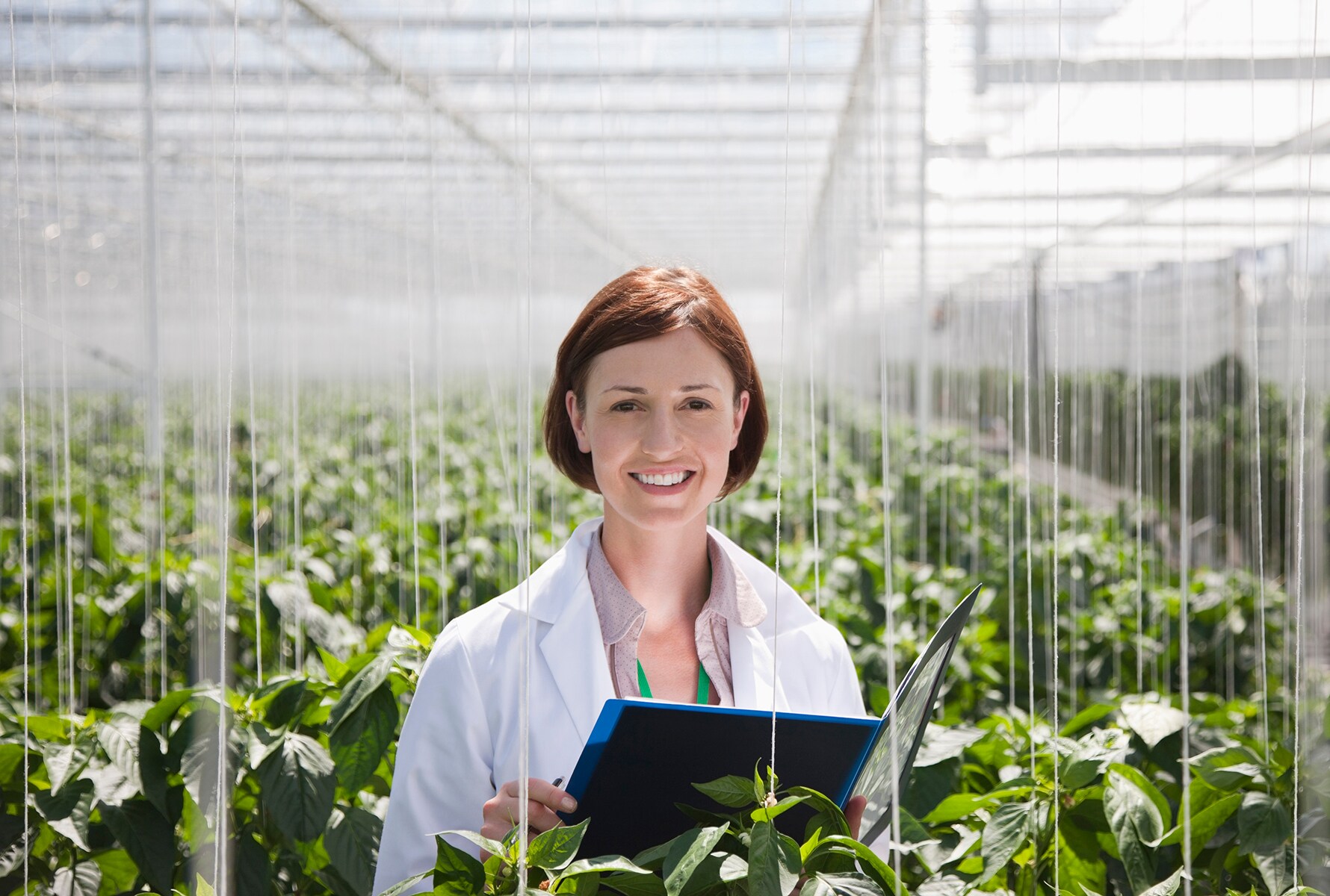 plant-based-vaccine highlight