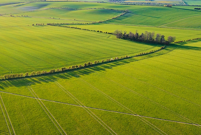 Wide green fields