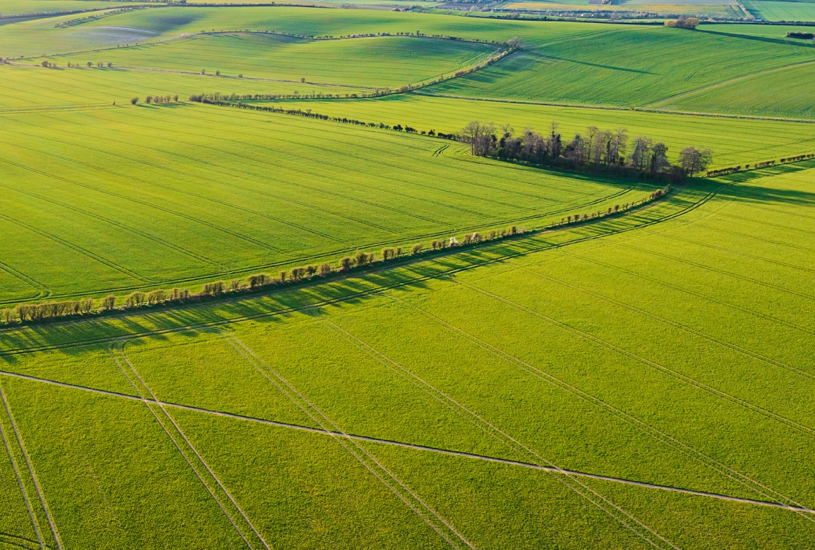 Wide green fields