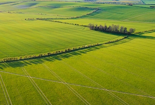 Wide green fields
