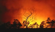 Australia bushfires OG thumbnail