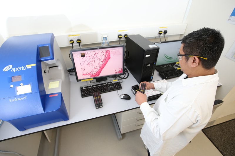 Scientist working with tissue samples