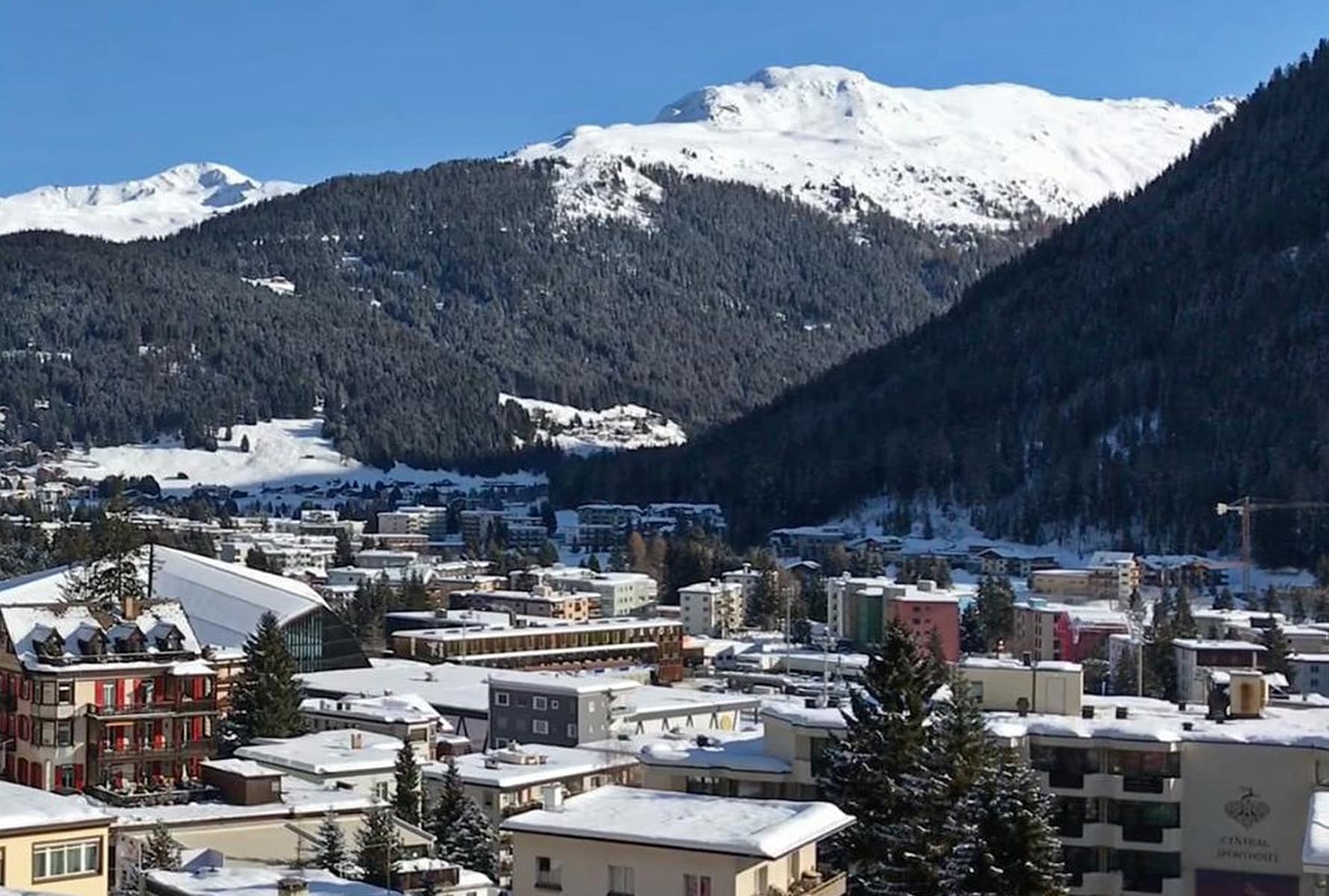 davos article highlight crop