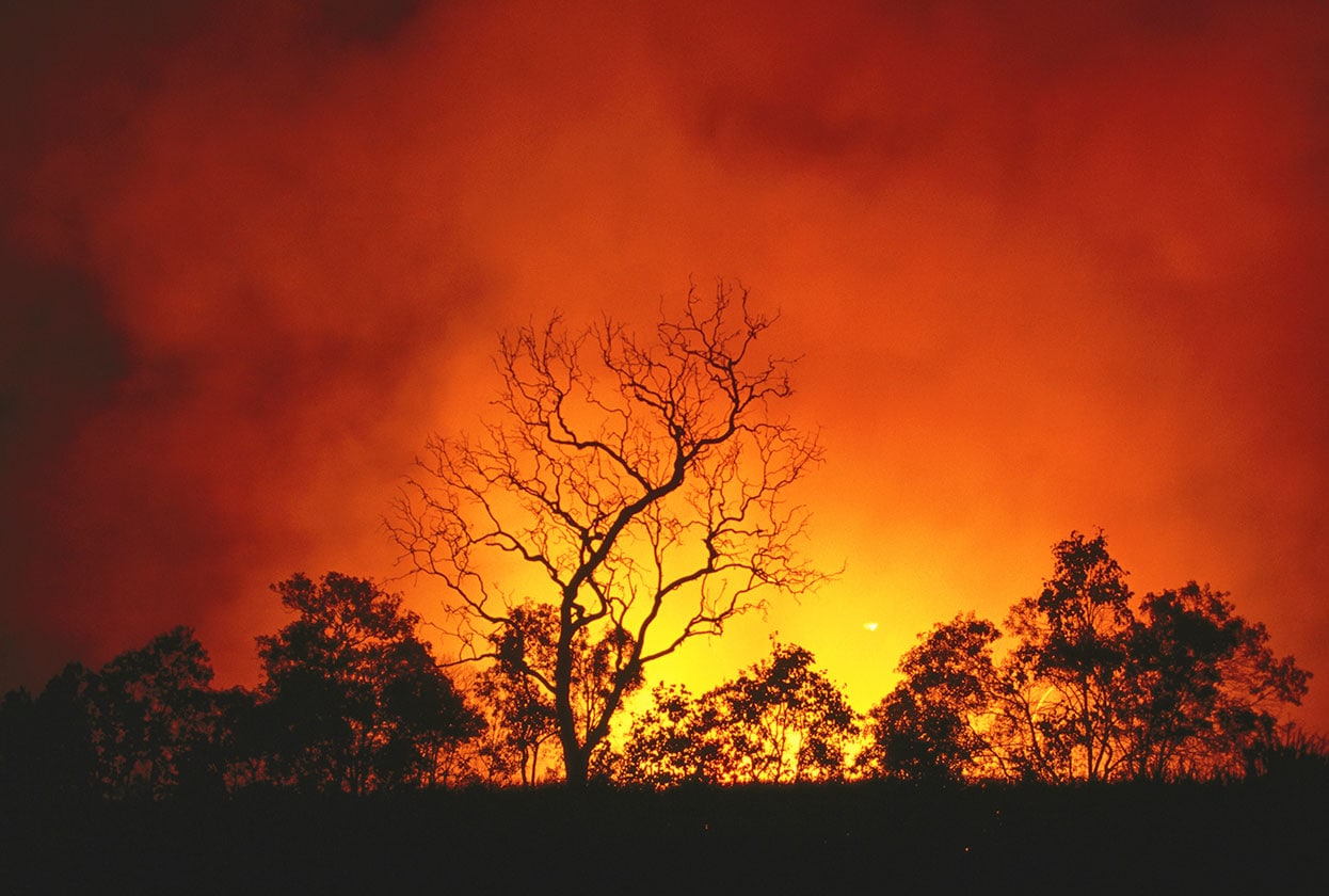 australia-bushfires-web-landscape