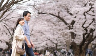 Couple walking in Japanese park square