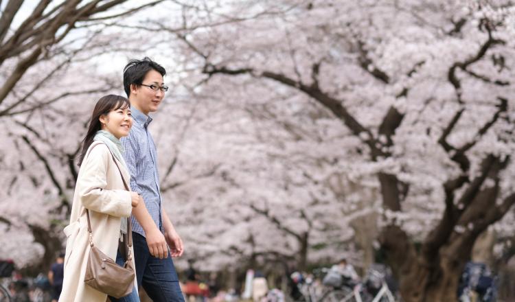Japanese couple walking in park