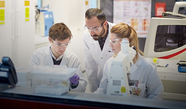 Three scientists in a laboratory