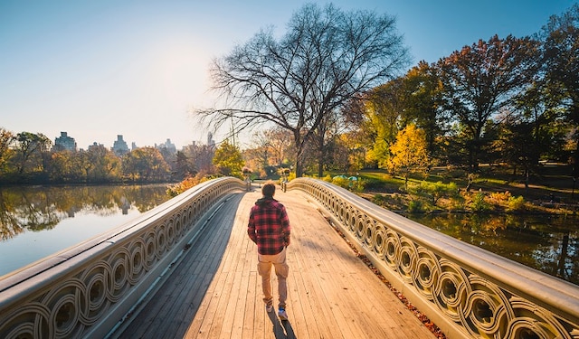 Man walking across a bridge in a park