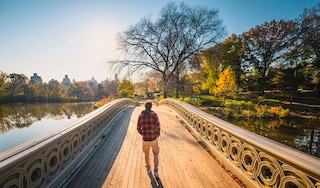 Man walking across a bridge in a park