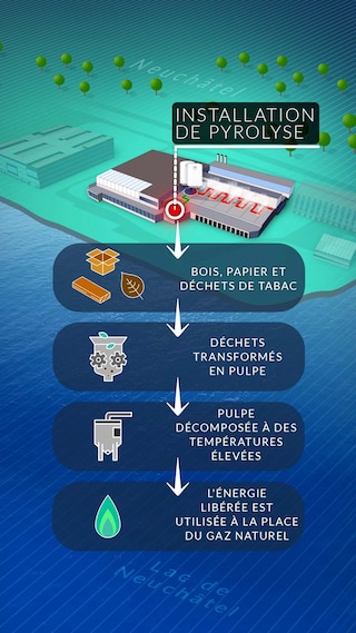 FACTORY - FRENCH - REV STEP - 2d