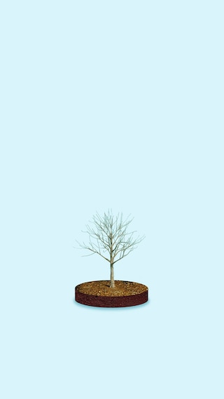 02 - Sustainability_01