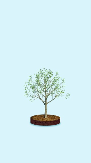 02 - Sustainability_04