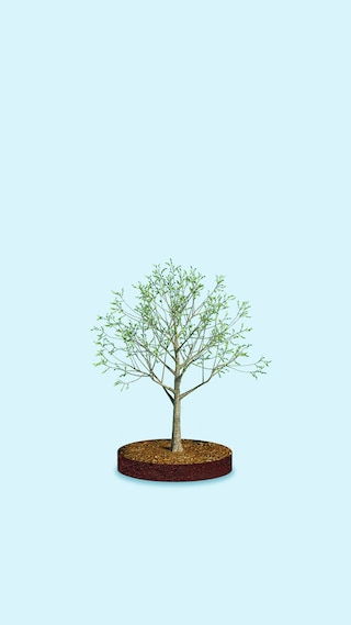 02 - Sustainability_06