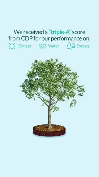 02 - Sustainability_08