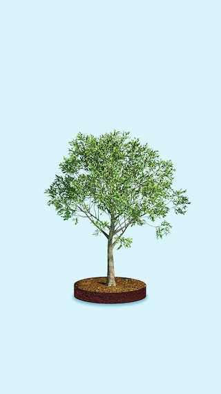 02 - Sustainability_09