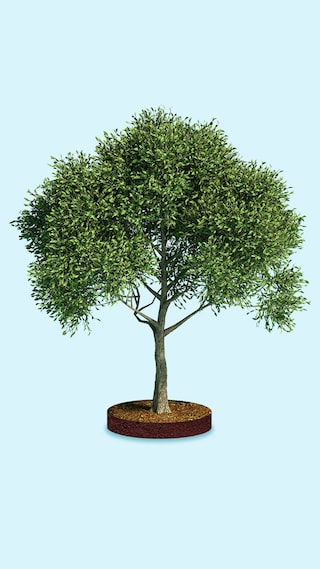 02 - Sustainability_10