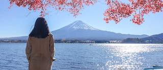 Japan woman Getty Topic Highlight crop