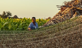 ALP anniversary landing page thumbnail farmer Mexico