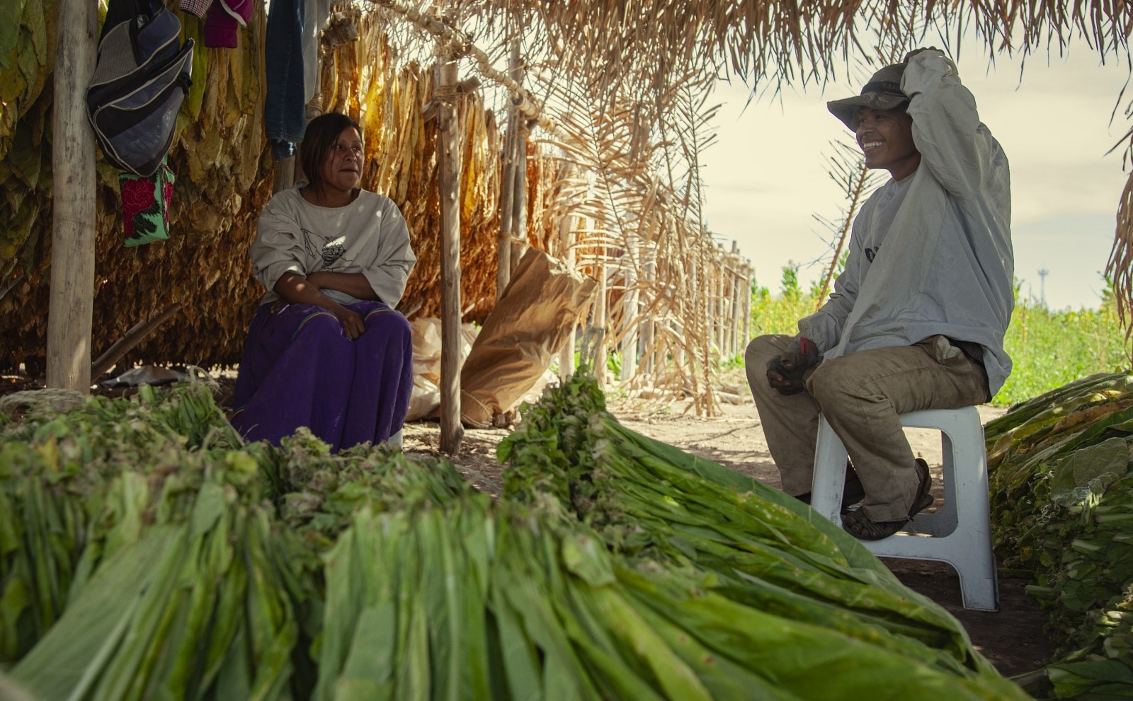 two tobacco farmers in Mexico