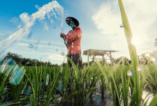 Biodiversity and water landscape