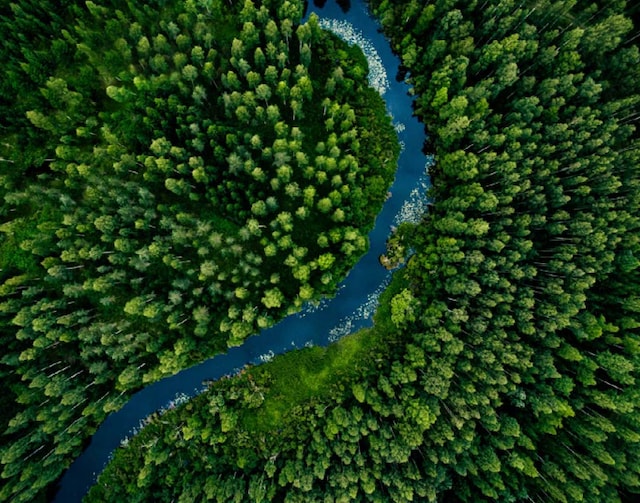 Climate justice forest