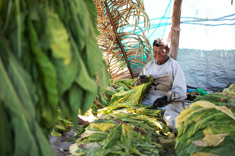 Enabling change in Nayarit, Mexico Philip Morris International