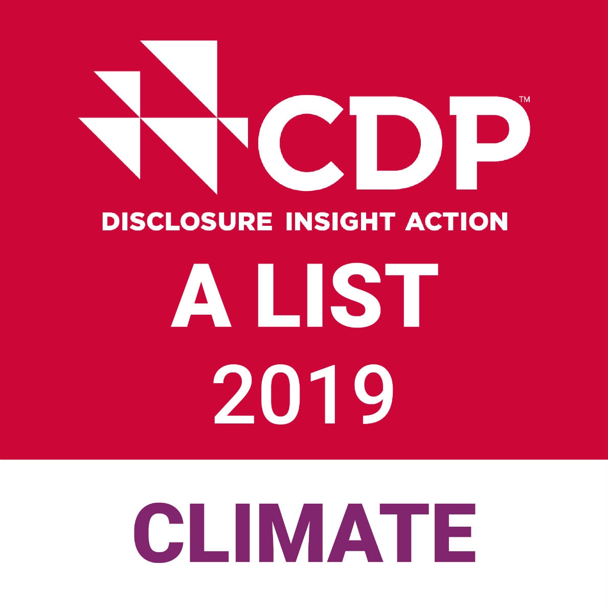 cdp a list 2019