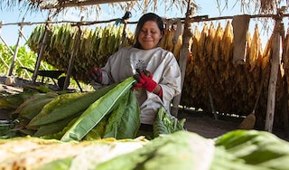 socioeconomic-nayarit-farmer-thumb