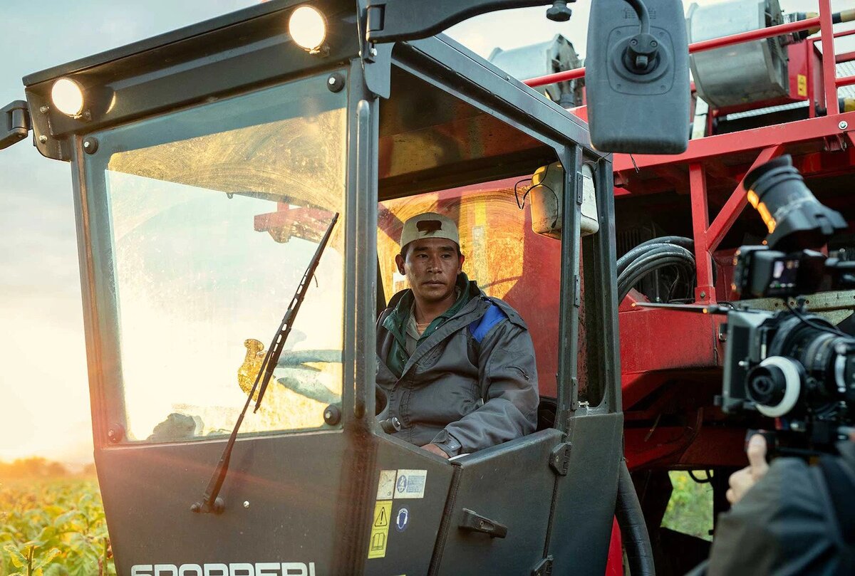 A tobacco farm worker in Salta, Argentina, driving a harvesting machine.