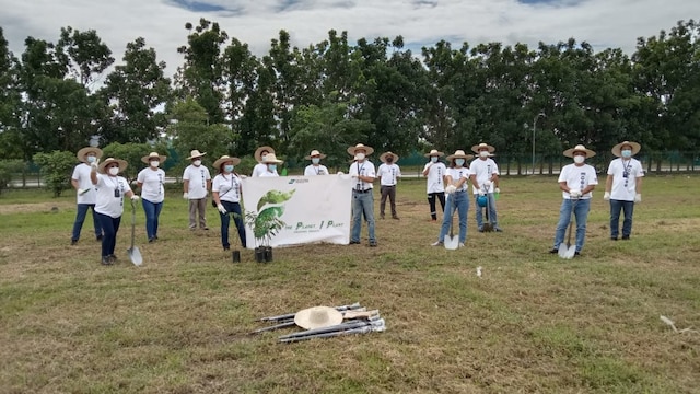 Philippines AWS tree planting