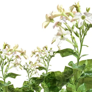 img_pmi_sustainability_IR2022_banner_v2