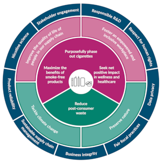 Gallery of How Emerging Practices Approach Sustainability in