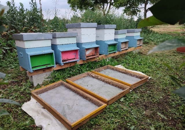 several beehives in a row