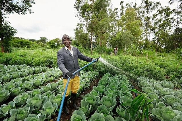 A farmer smiling and watering crops. PMI is encouraging smallholder tobacco farmers to diversify into food.